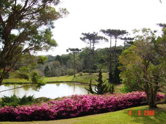 Resultado de imagem para fotos de faxinal do céu/ paraná